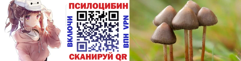 Галлюциногенные грибы ЛСД купить Хвалынск